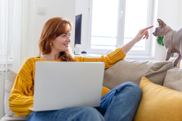 Young beautiful woman doing online work at home, beautiful Sphynx cat distracting owner from work