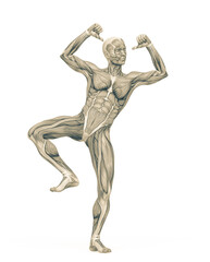 average man muscle maps is doing a cool hiphop pose