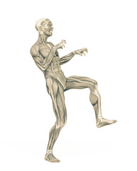 average man muscle maps is doing a halloween pose