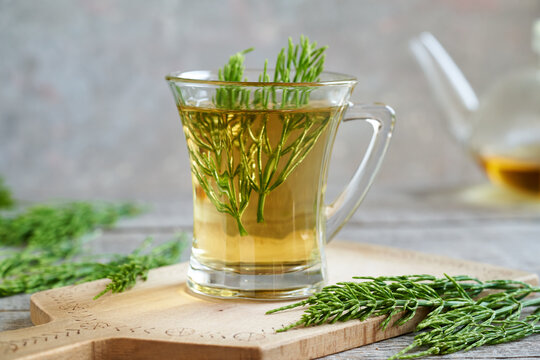 Herbal tea made of fresh horsetail twigs