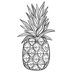 Pineapple doodles black outline on white background