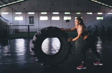 Obraz na płótnie Canvas Motivated female athlete in sportive tracksuit working out with tire - weightlifting in gym studio during slimming time, determined fit girl checking body strength during training practice indoors