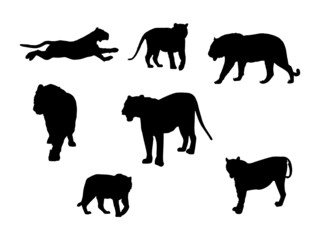 Asian bengal tiger, vector illustration.Walking vector image.Leaping tiger.Angry Tiger Vector IllustrationSilhouette of Tiger Walking Vector.svg