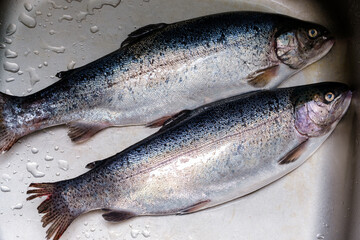 caught fresh trout lies in the shell