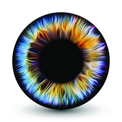 Multicolor eye iris pupil vector illustration isolated