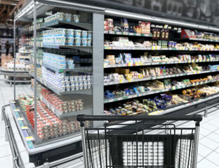 choosing a dairy products at supermarket.empty grocery cart in an empty supermarket