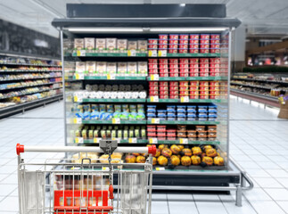 choosing a dairy products at supermarket.empty grocery cart in an empty supermarket