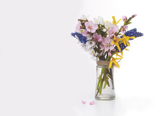Bouquet of seasonal spring flowers. Sprigs of blossoming cherry, apricot, forsythia and muscari in a glass vase on a white background.