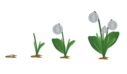Invest growth concept. vector illustration