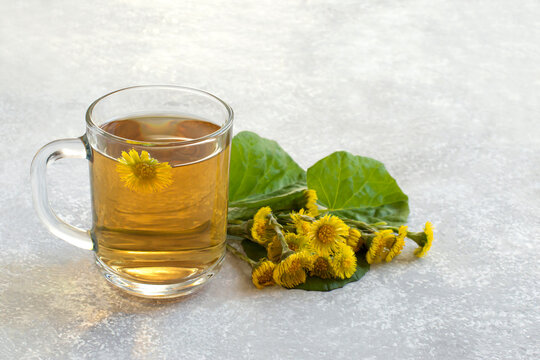 Herbal tea with coltsfoot, flowers and leaves on table