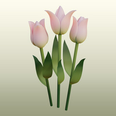Artificial flowers, 3D visualization.