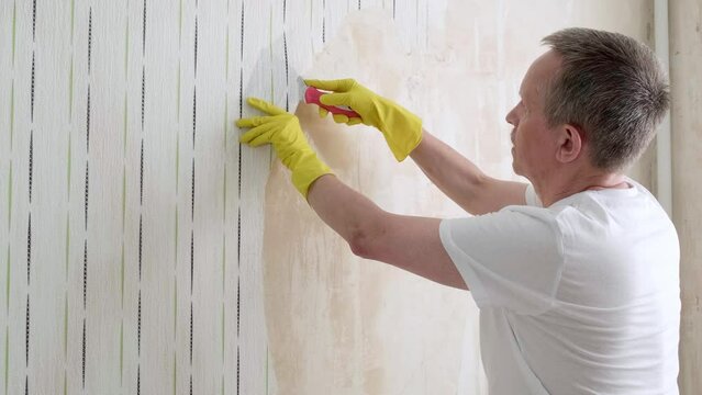 An adult Man takes off the wallpaper works with a spatula in the room. Man removing old wallpaper from walls preparing for flat renovation. Interior design and home renovation concept
