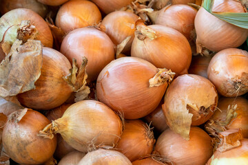 close up fresh raw onions for background