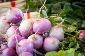 close up of fresh raw turnips in a market
