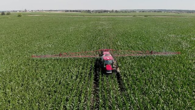 A tractor sprayer sprays corn in the field. Shooting from a 4K drone. Spraying of chemical fertilizers on an agricultural field