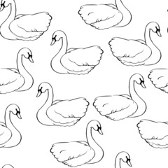 Vector illustration seamless pattern with  swans isolated on white background. Black and white pattern.  © Mariia