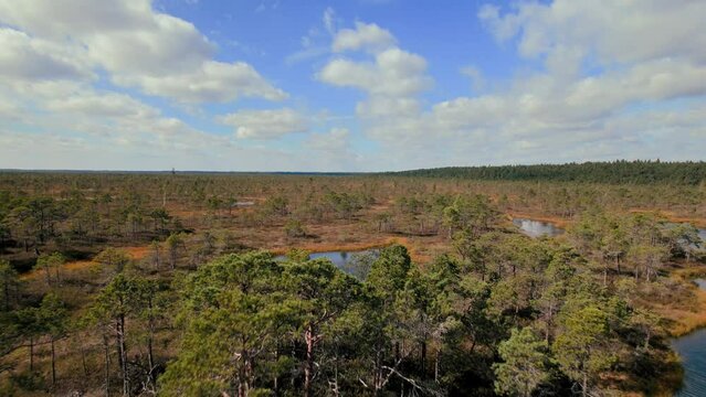 Aerial drone view over trails and lakes in Kemeri National Park, Jurmala, Latvia, Europe