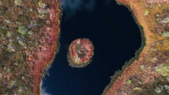 Aerial drone view over trails and lakes in Kemeri National Park, Jurmala, Latvia, Europe
