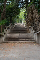 stairs in the park