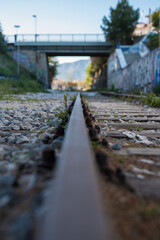 bridge over the river