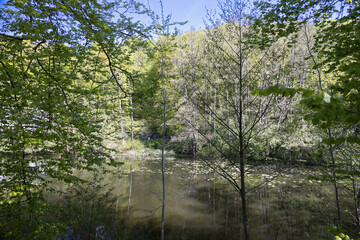 View over the Friedrichsruh Castle Pond