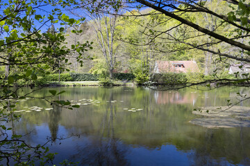Fototapeta na wymiar View over the Friedrichsruh Castle Pond