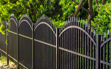 black iron fence. Metal fence