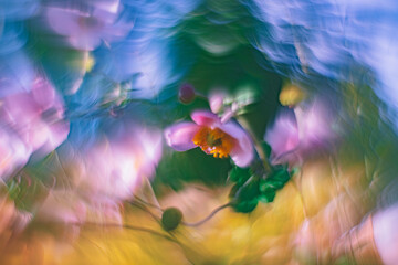 Obraz na płótnie Canvas Flowers- soft focus effect. Depth of field