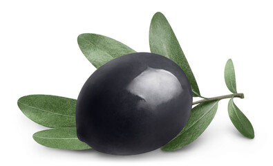 Single black olive with leaves, isolated on white background