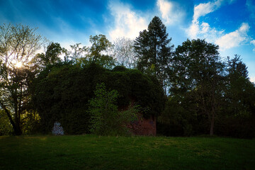 Burgruine - Stadtmauer - Stadtpark