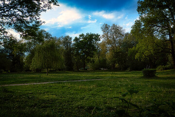Fototapeta na wymiar Landschaft - Stadtpark - Park