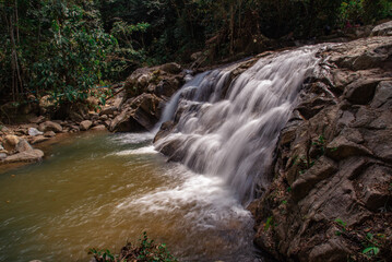 Waterfall in the Rain Forest