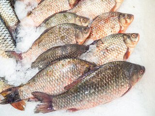 Obraz premium Fish shop. Sale of carp. Chilled crucian carp on the counter.