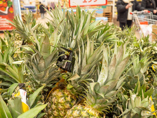 A bunch of pineapples on the counter. Fruit shop. Fruit abundance.