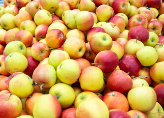 Fruits shop. Healthy foods.  apples on the counter.  Sale of apples. Vitamin containing products