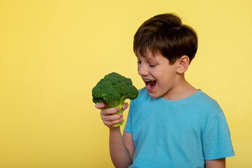 The boy is holding broccoli.
Portrait of a funny boy in a blue t-shirt on a yellow background who is going to eat broccoli.
