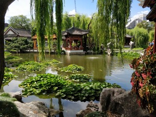 Pond with koi carps in the Chinese Garden of Friendship