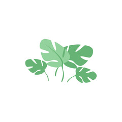 green tree leaf vector concept