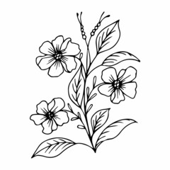 Hand drawn flower bouquet arrangement in black and white color doodle or sketch style. Postcard, invitation, greeting card, coloring book page.