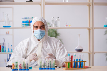 Young male chemist working at the lab during pandemic