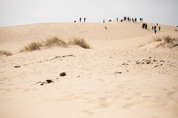 footprints in the sand - obrazy, fototapety, plakaty