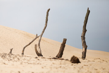 Fototapeta sand castle in the sand obraz