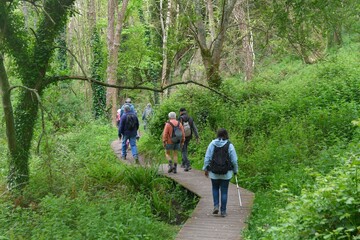 Group of senior hikers walking in the Traouiero valley at Tregastel in Brittany-France
