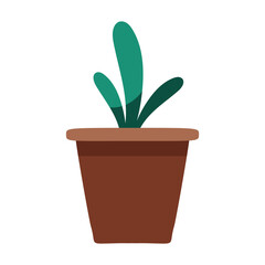 houseplant in pot