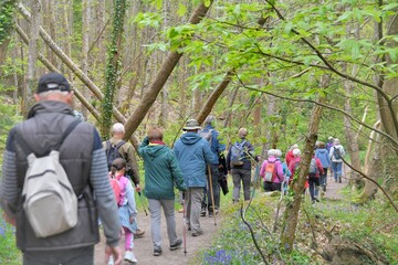 Group of senior hikers walking in the Traouiero valley at Tregastel in Brittany-France