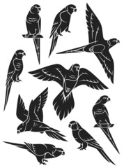 Stylized Parrots - Rainbow Lorikeet