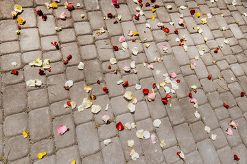 Many petals of multi-colored roses lie on the tiles at the ceremony. Wedding photography, top view.