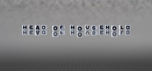 head of household word or concept represented by black and white letter cubes on a grey horizon...