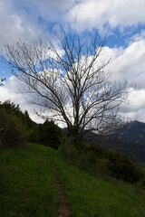 Ordesa National Park,Huesca,Spain