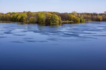 Landscape with river flooding, forest in spring.
